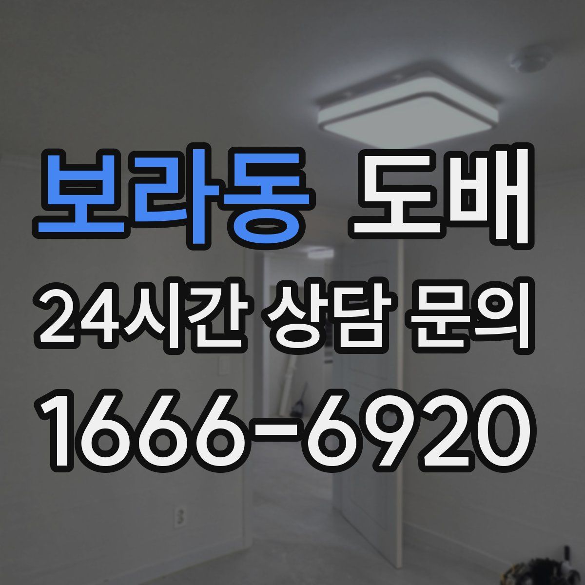 보라동 도배