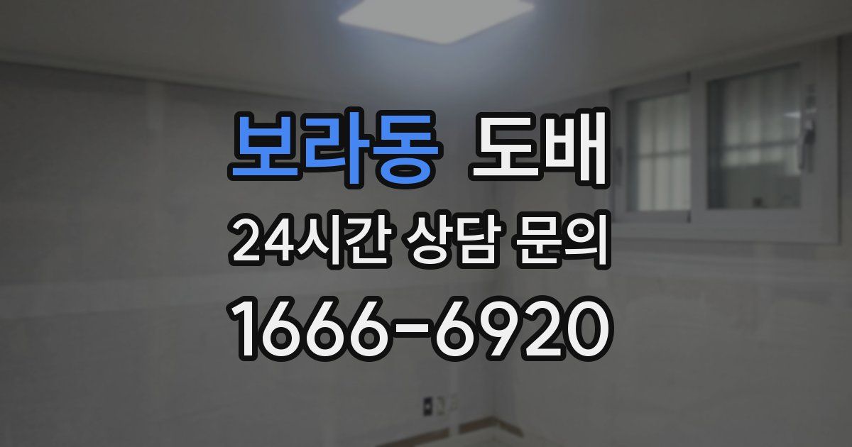 보라동 도배