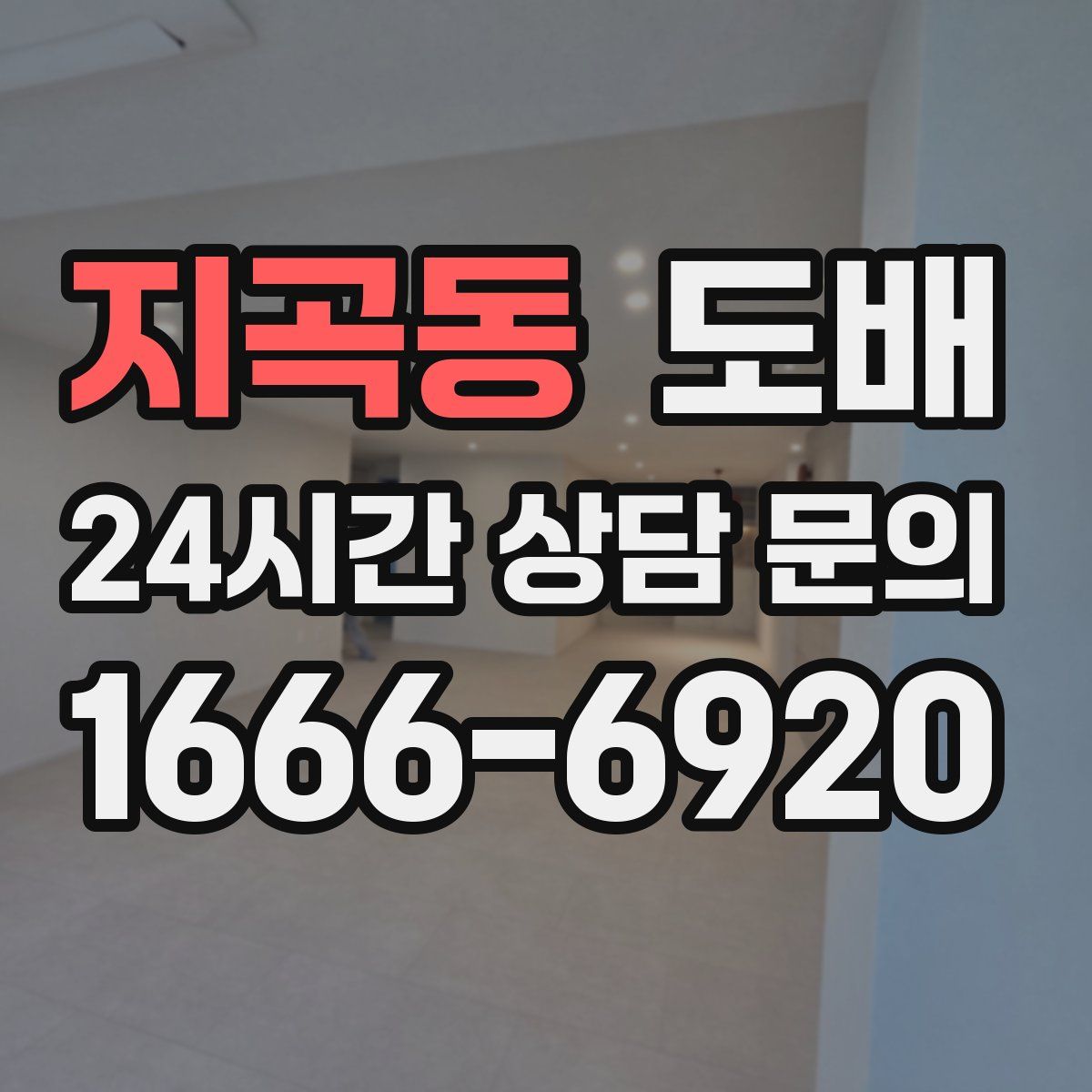 지곡동 도배