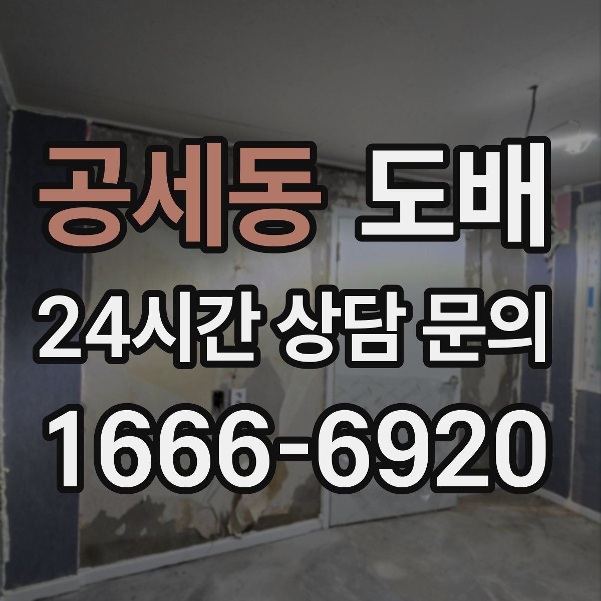 공세동 도배