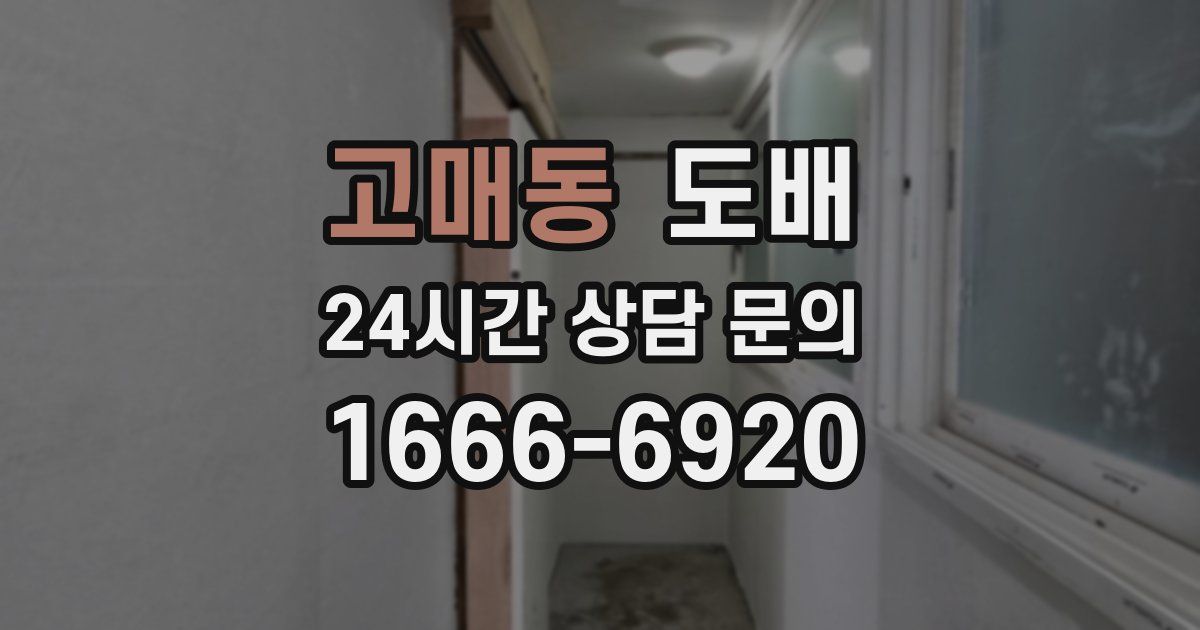 고매동 도배