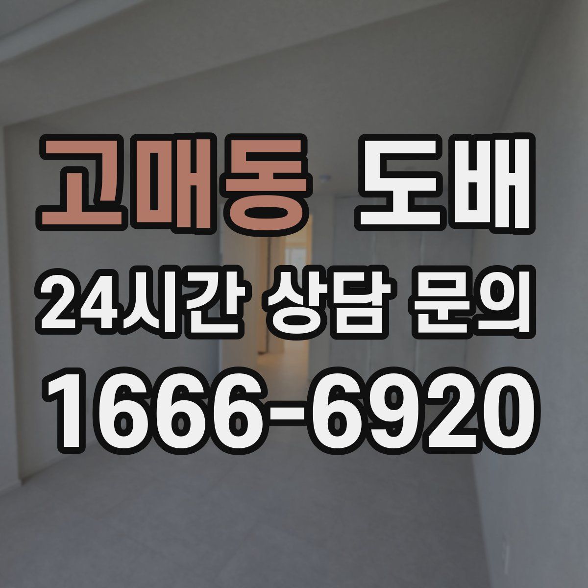 고매동 도배