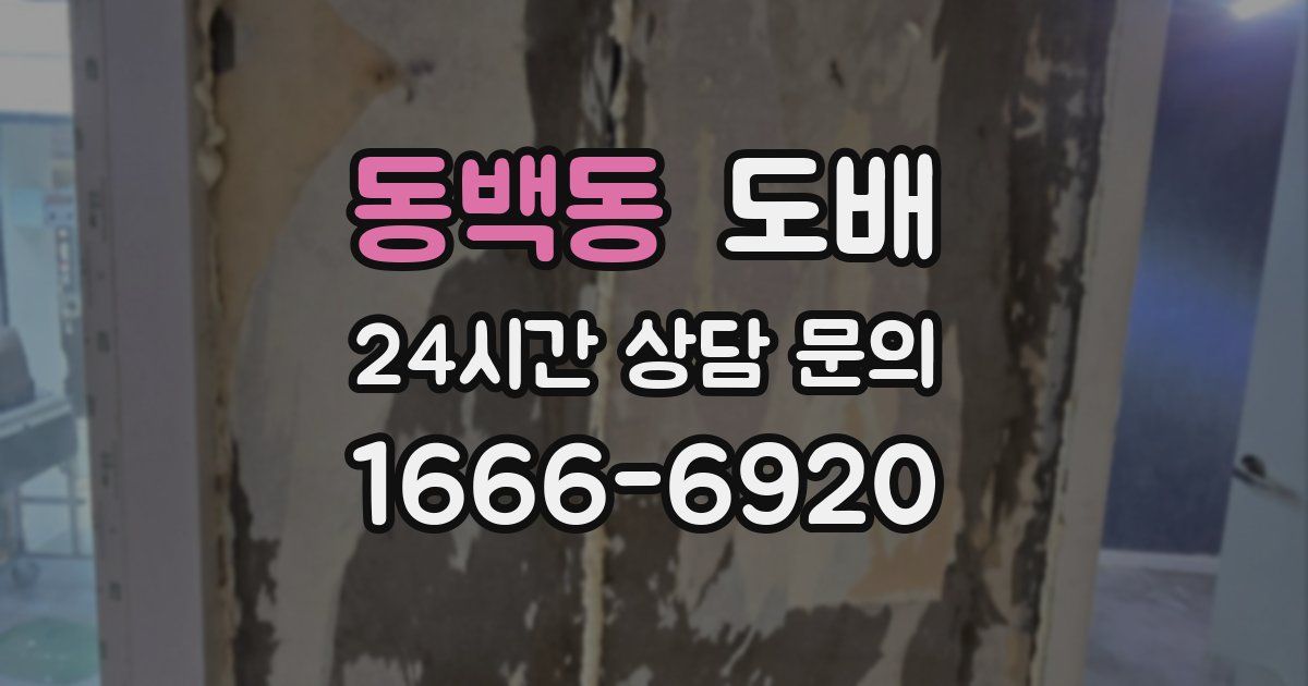동백동 도배