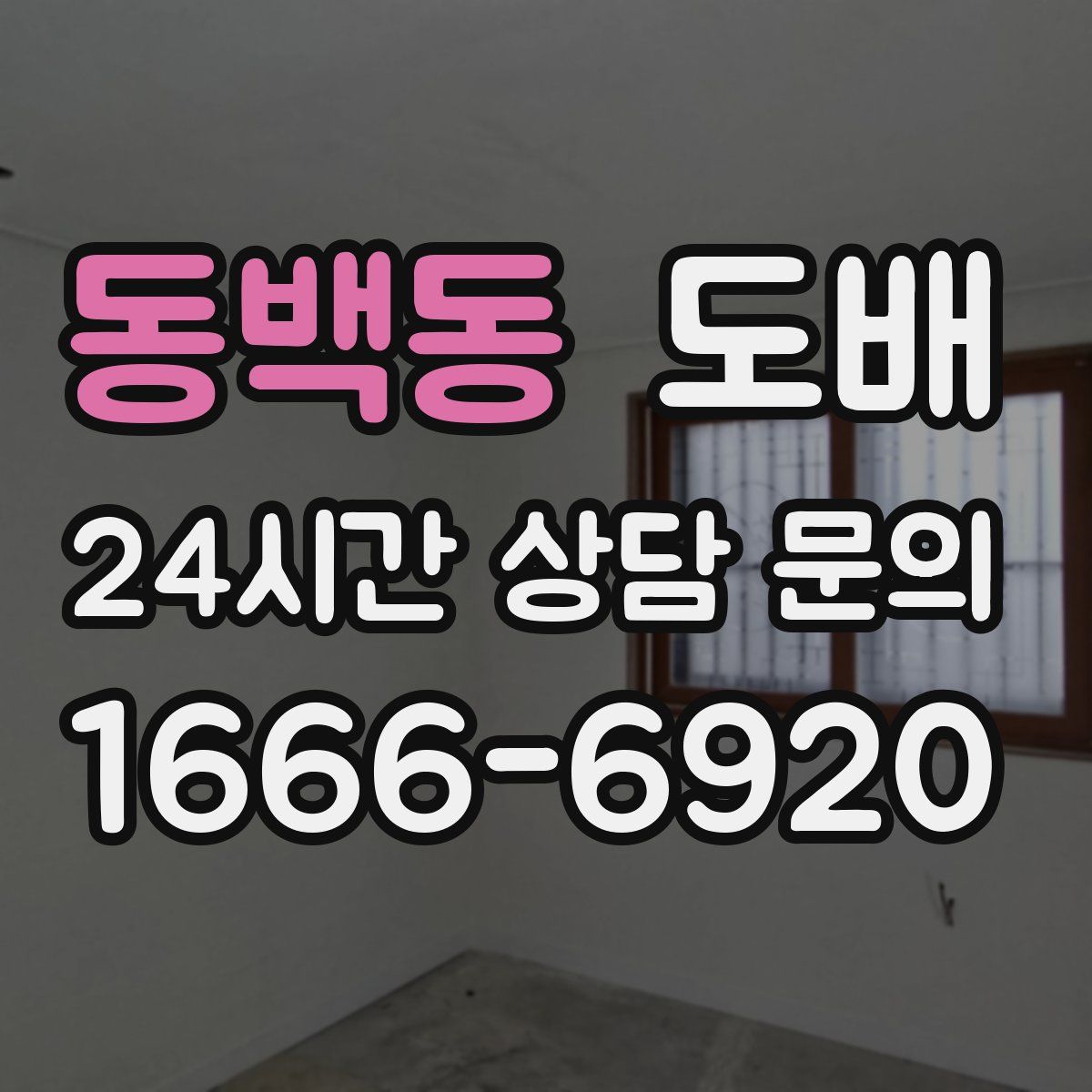 동백동 도배