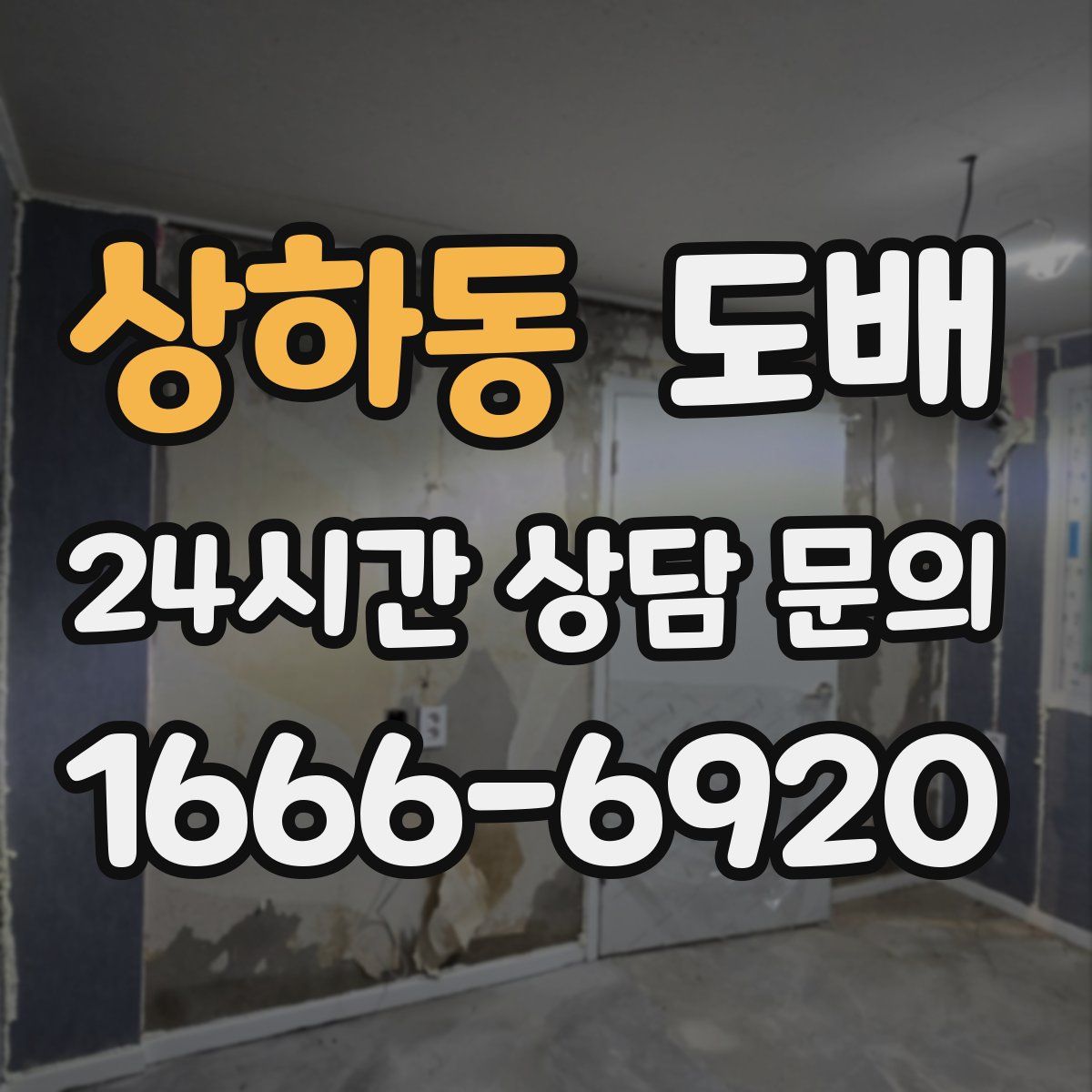 상하동 도배