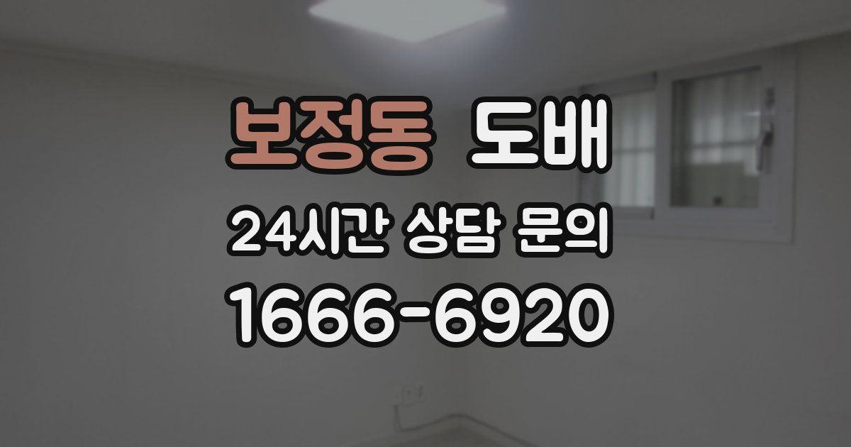 보정동 도배