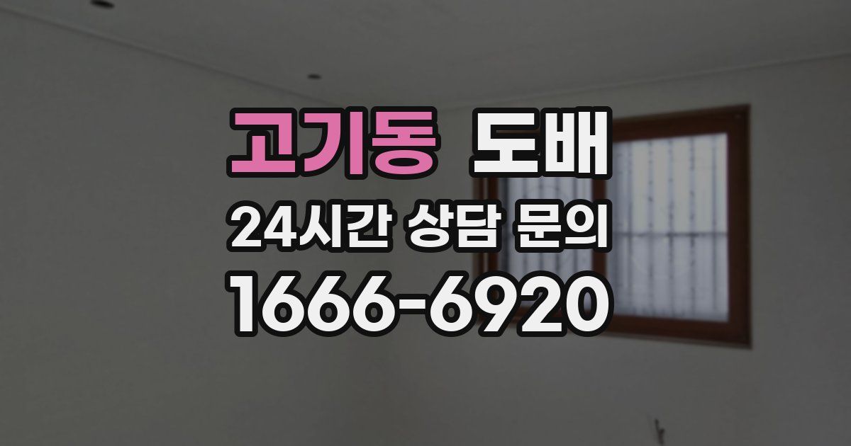 고기동 도배