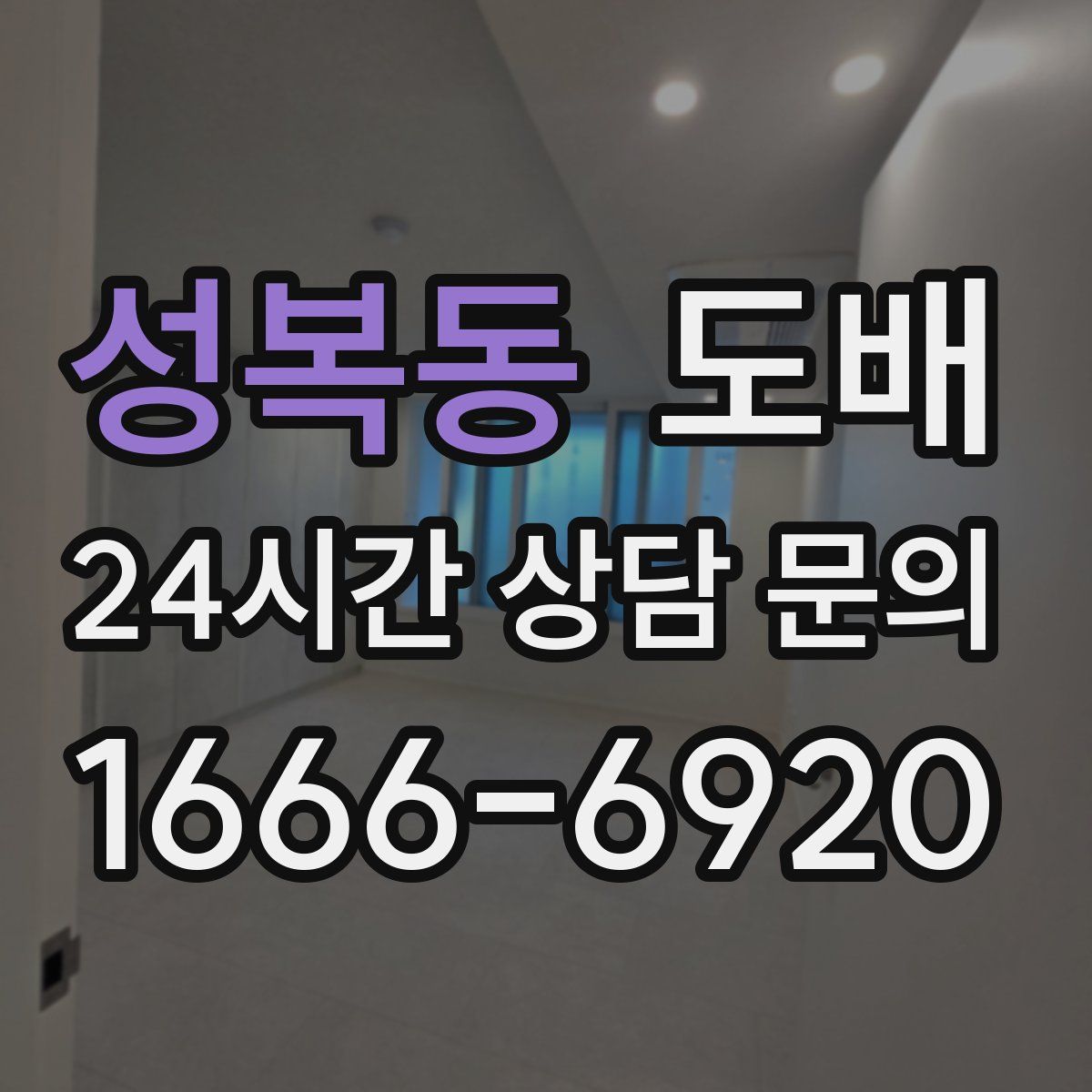 성복동 도배