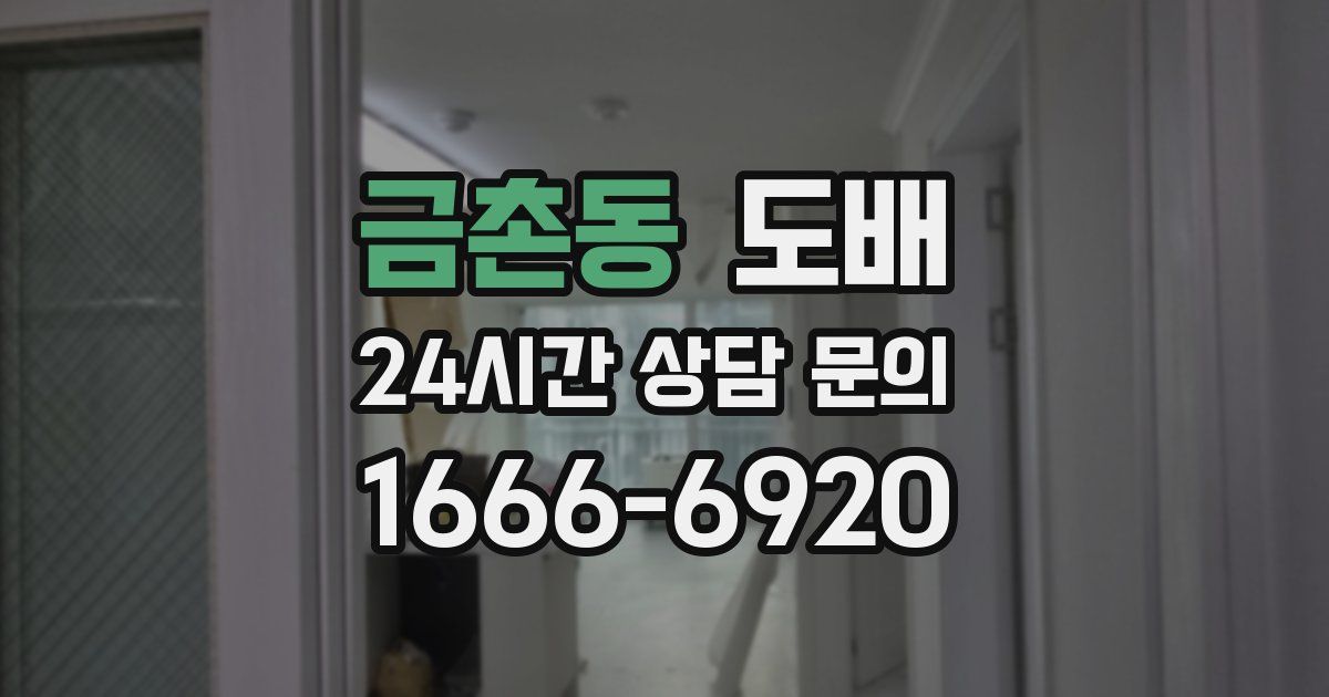 금촌동 도배