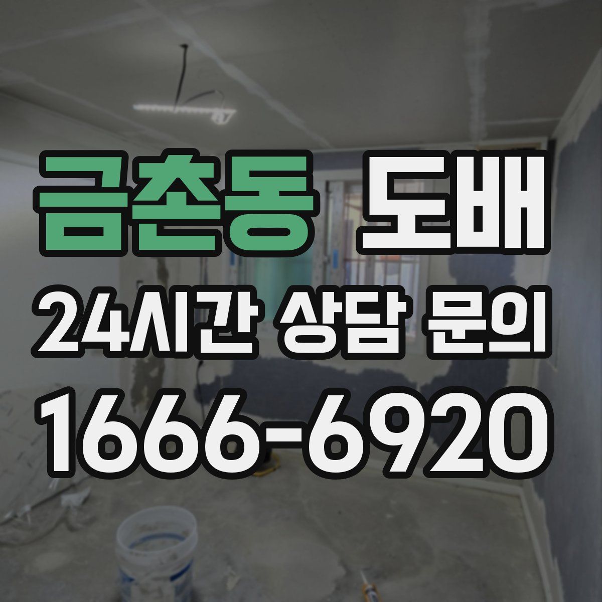금촌동 도배