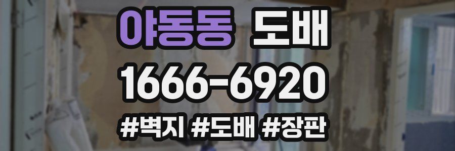 야동동 도배