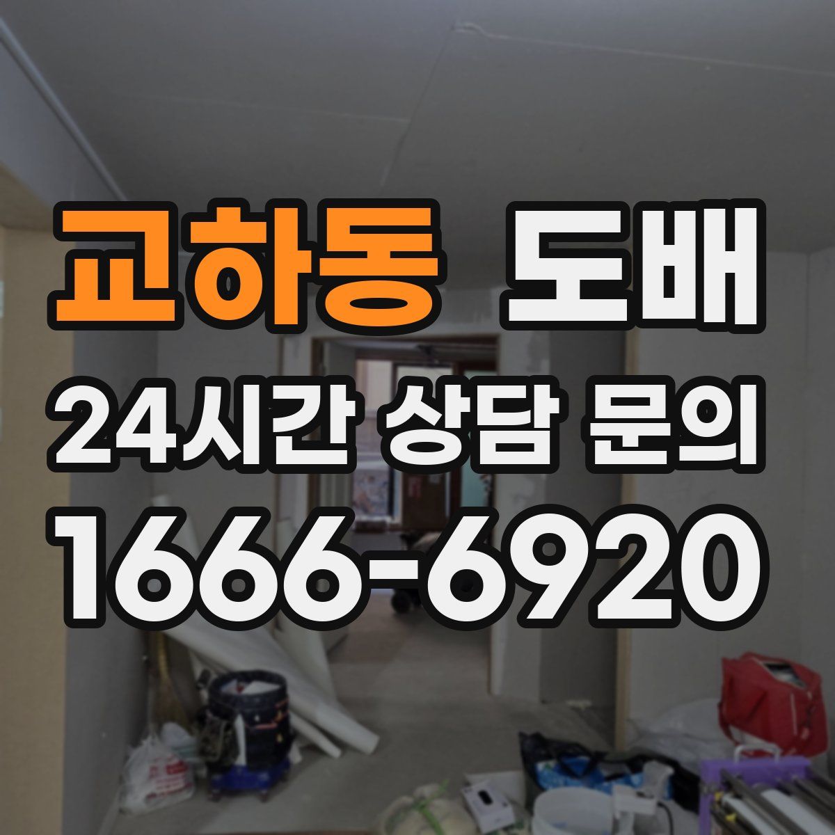 교하동 도배