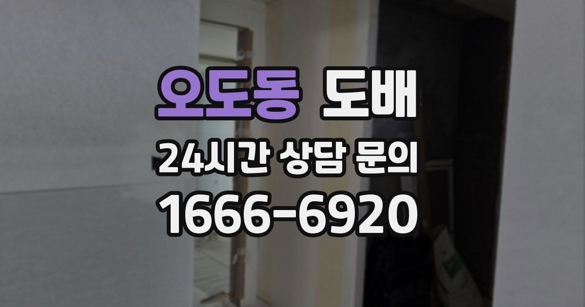 오도동 도배