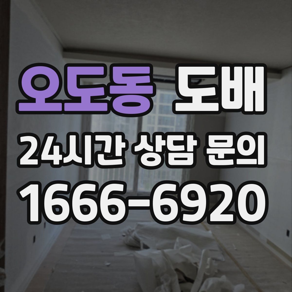 오도동 도배