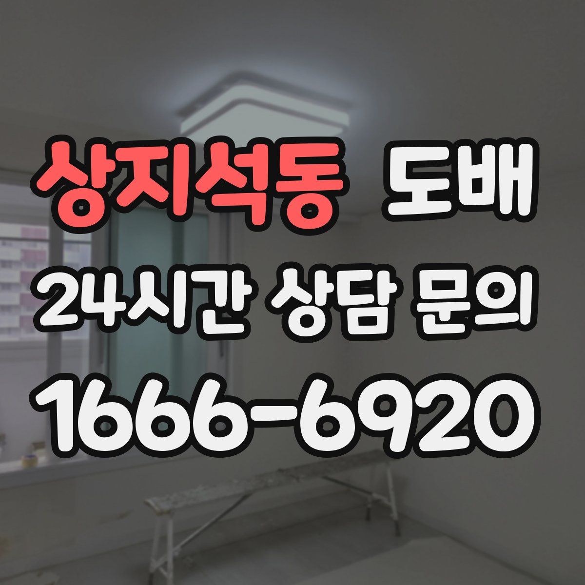 상지석동 도배