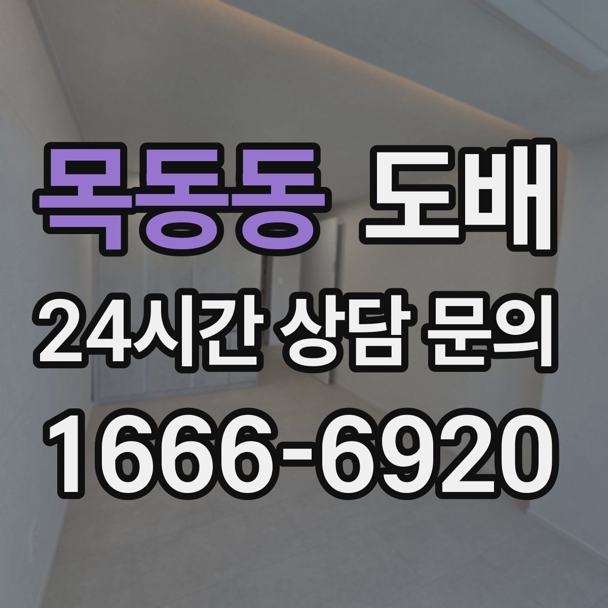 목동동 도배