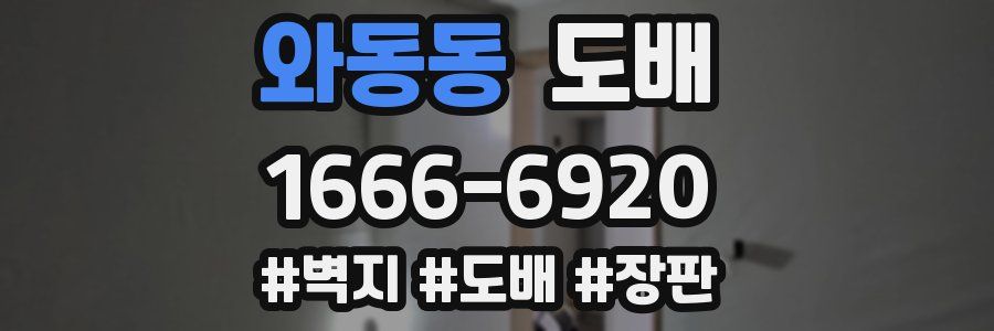 와동동 도배