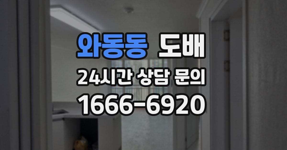 와동동 도배