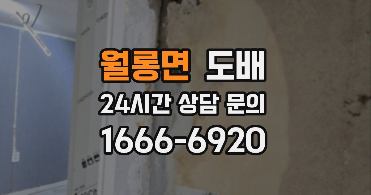 월롱면 도배