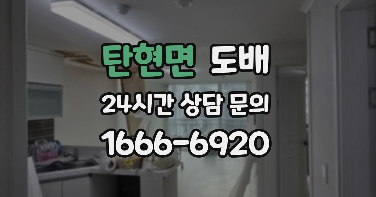 탄현면 도배