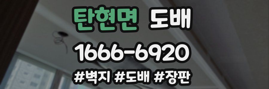 탄현면 도배