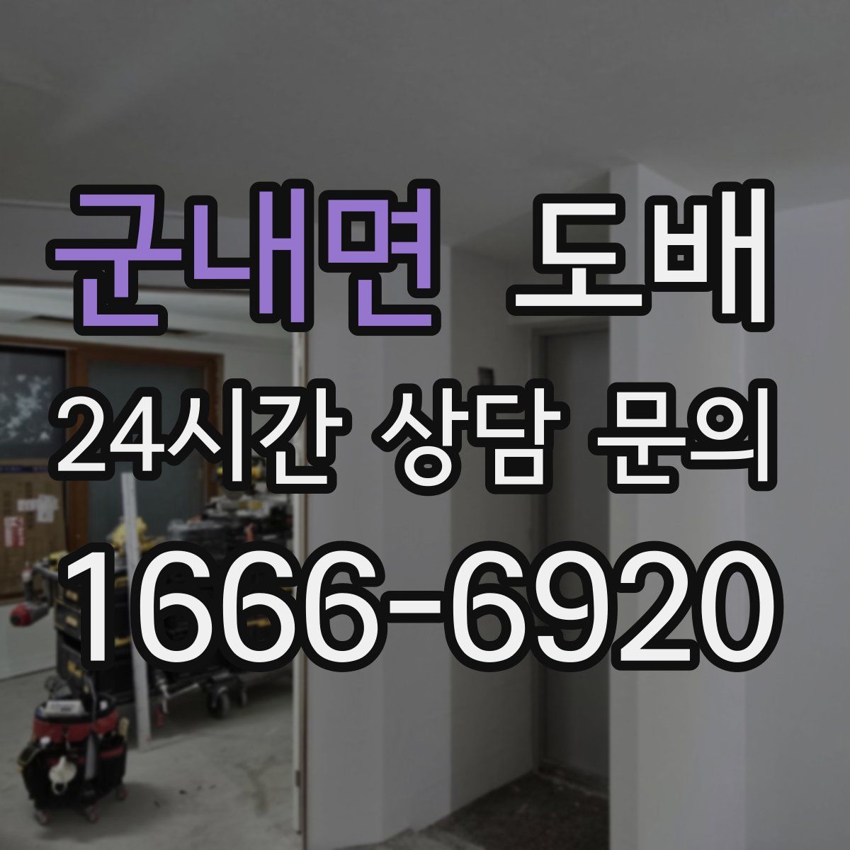 군내면 도배