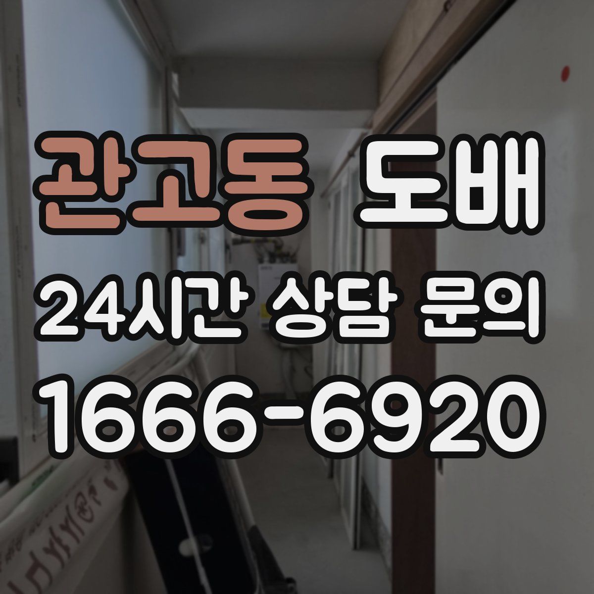 관고동 도배
