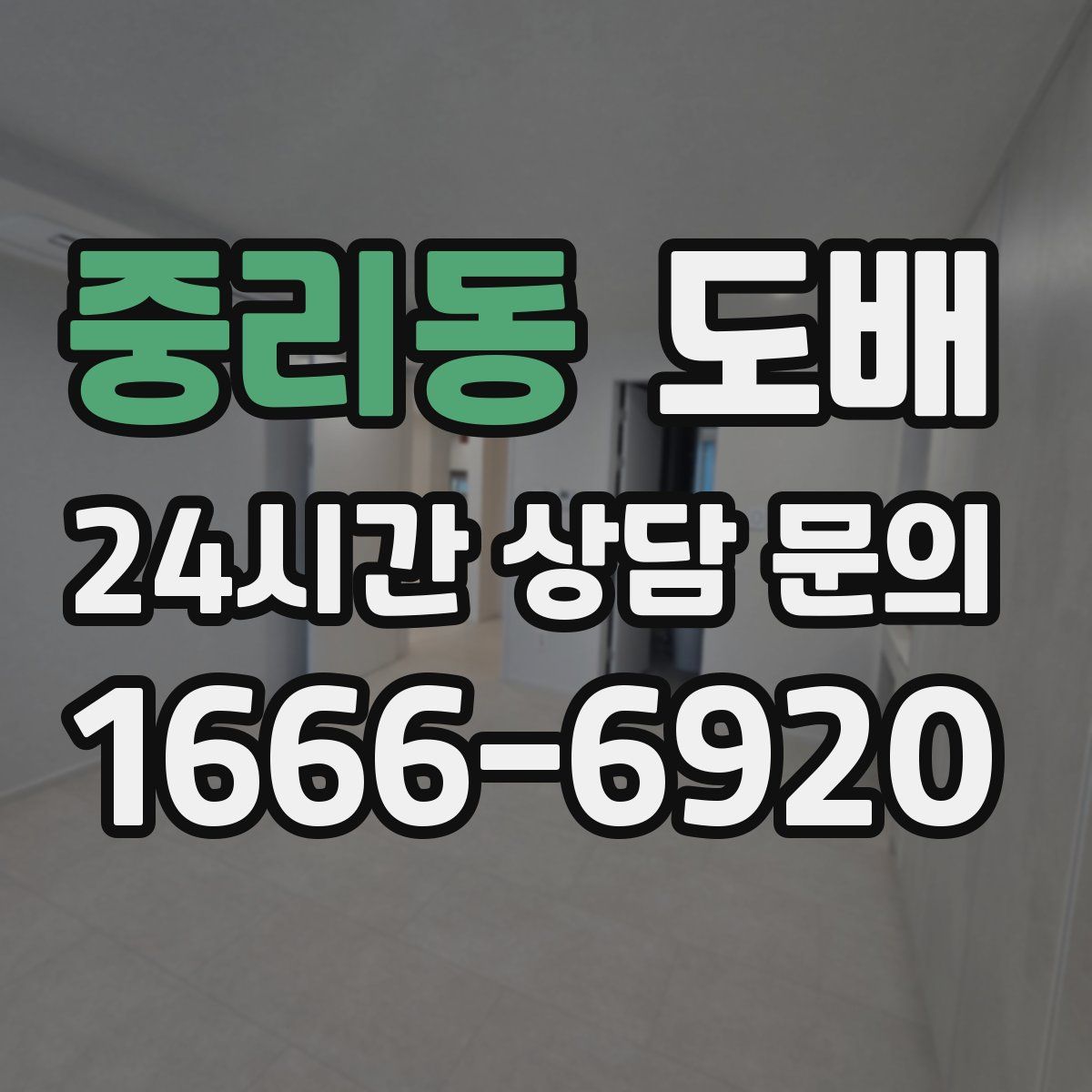 중리동 도배