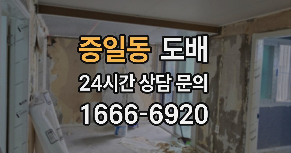 증일동 도배