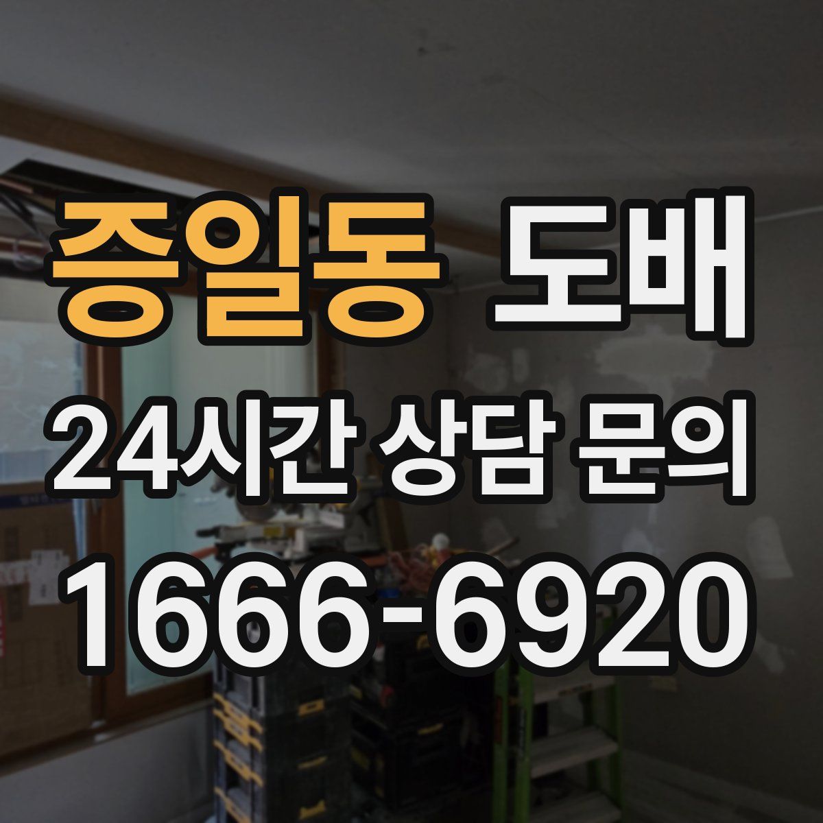 증일동 도배