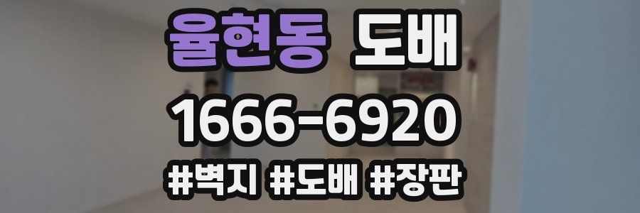 율현동 도배