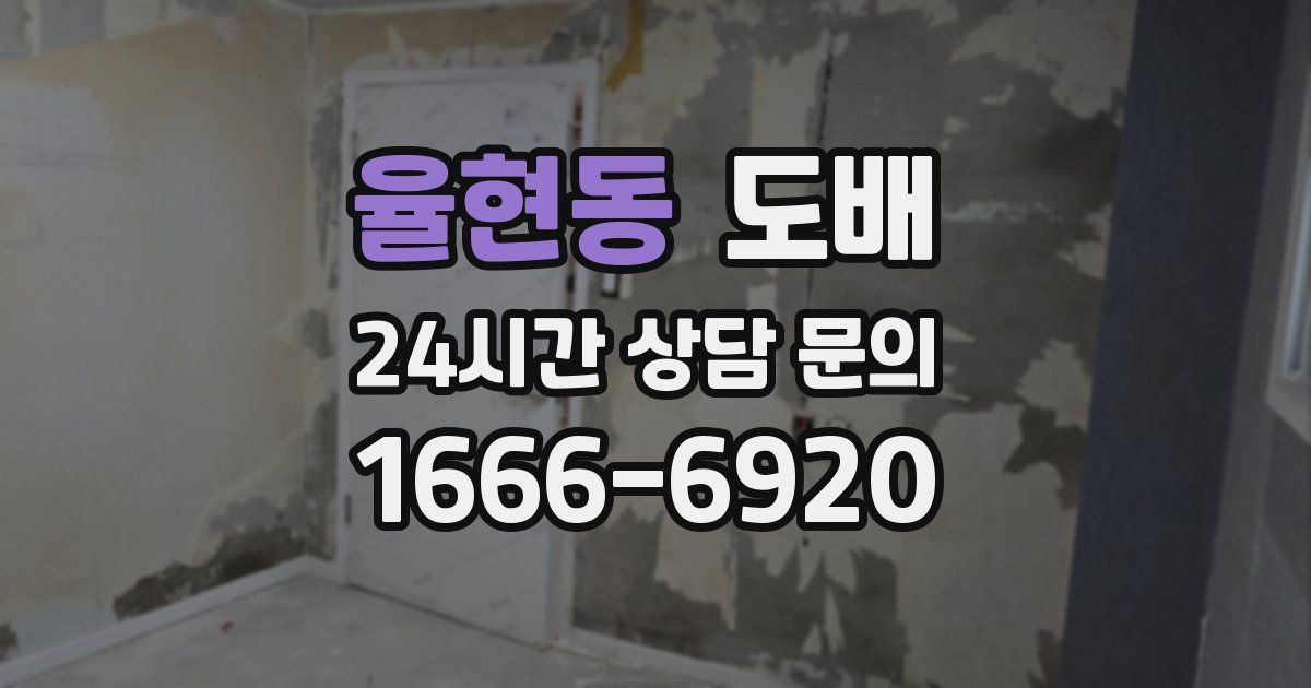 율현동 도배
