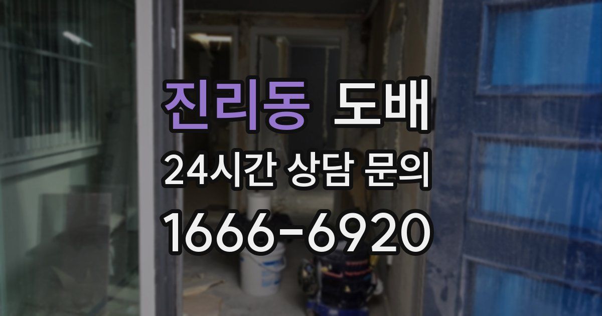진리동 도배