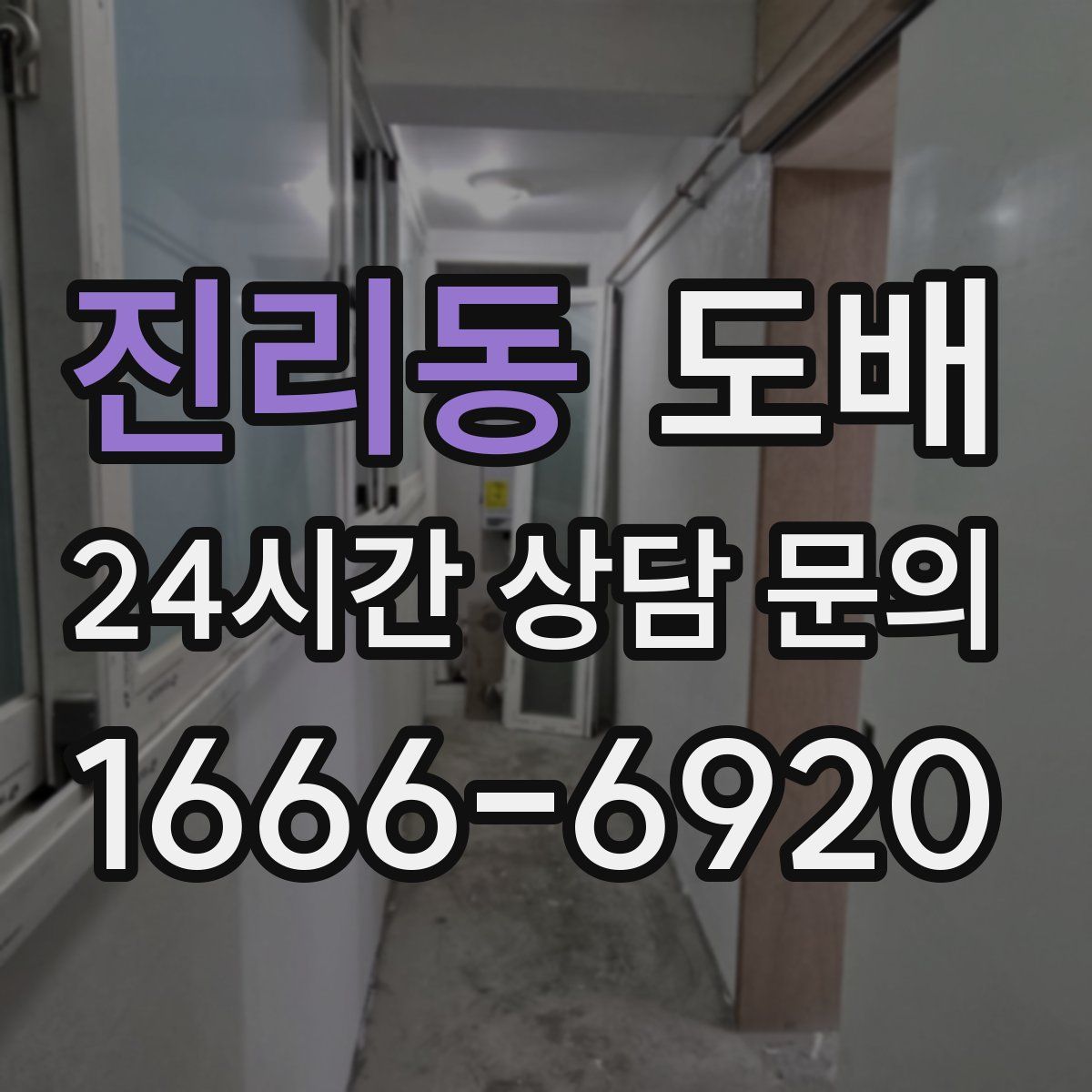 진리동 도배
