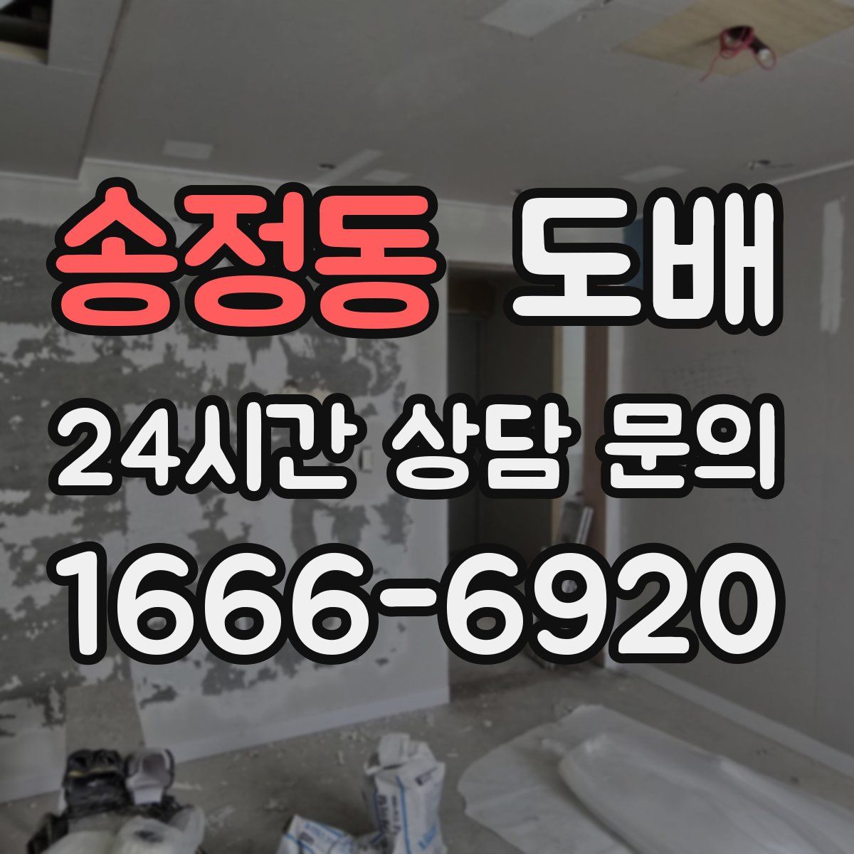 송정동 도배