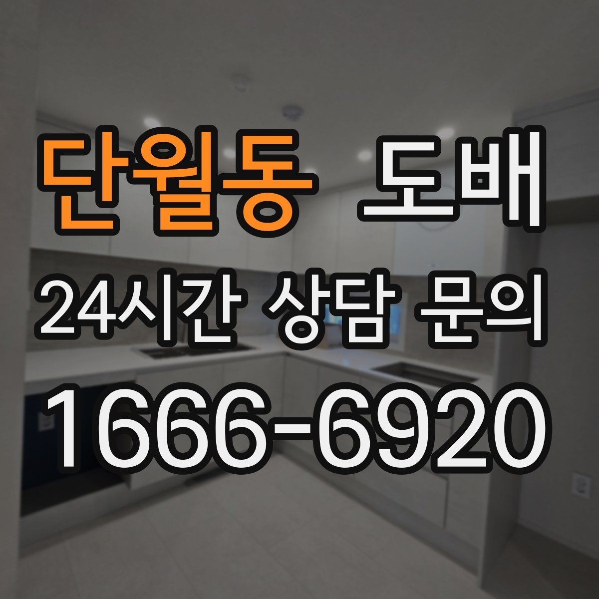 단월동 도배