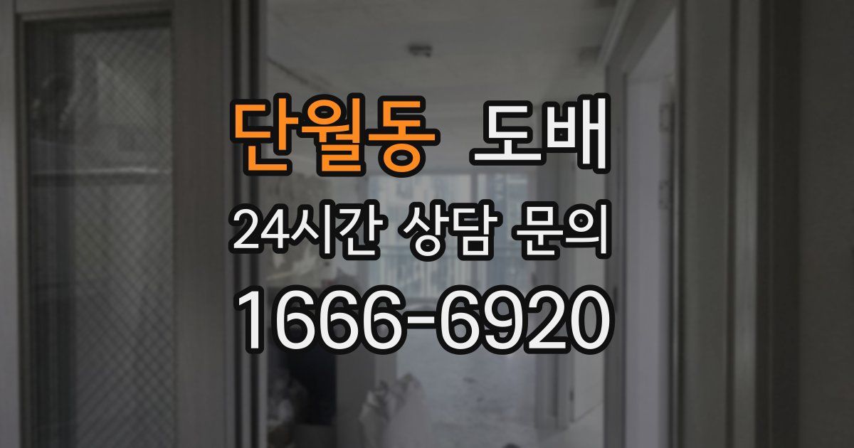 단월동 도배