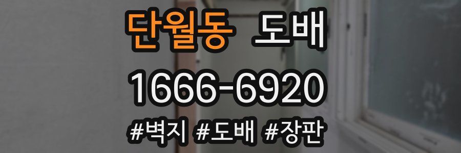 단월동 도배