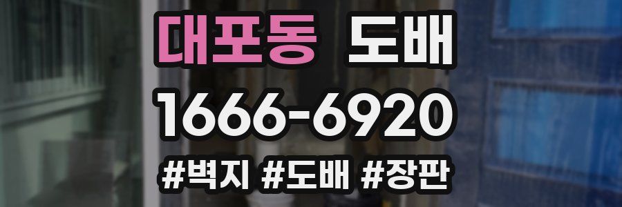 대포동 도배