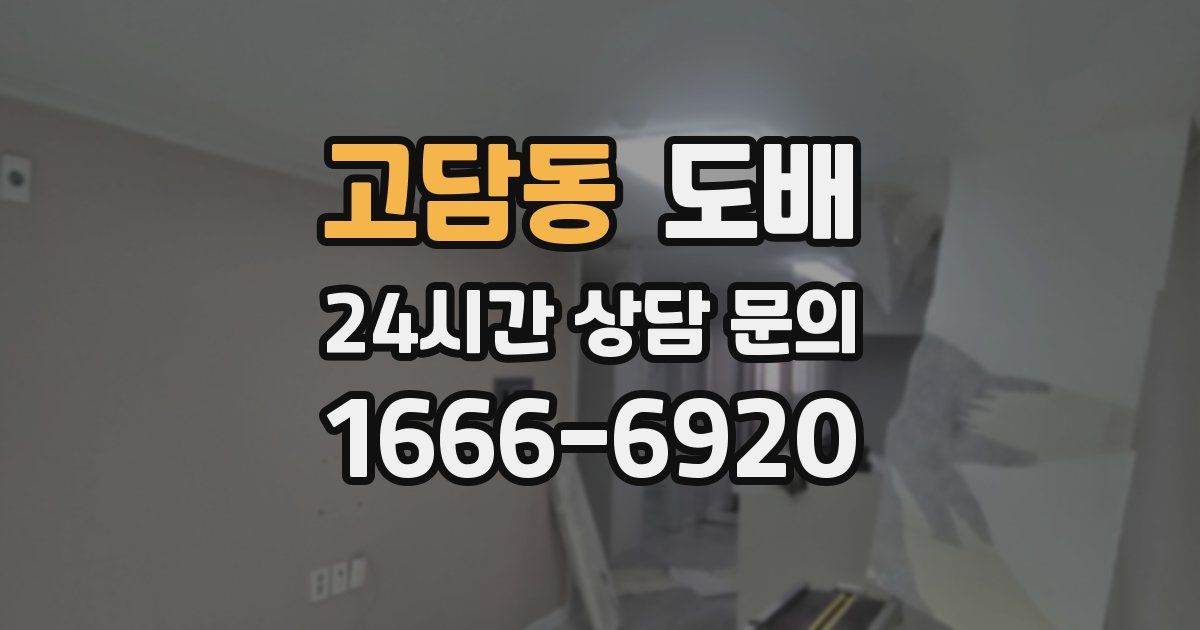 고담동 도배