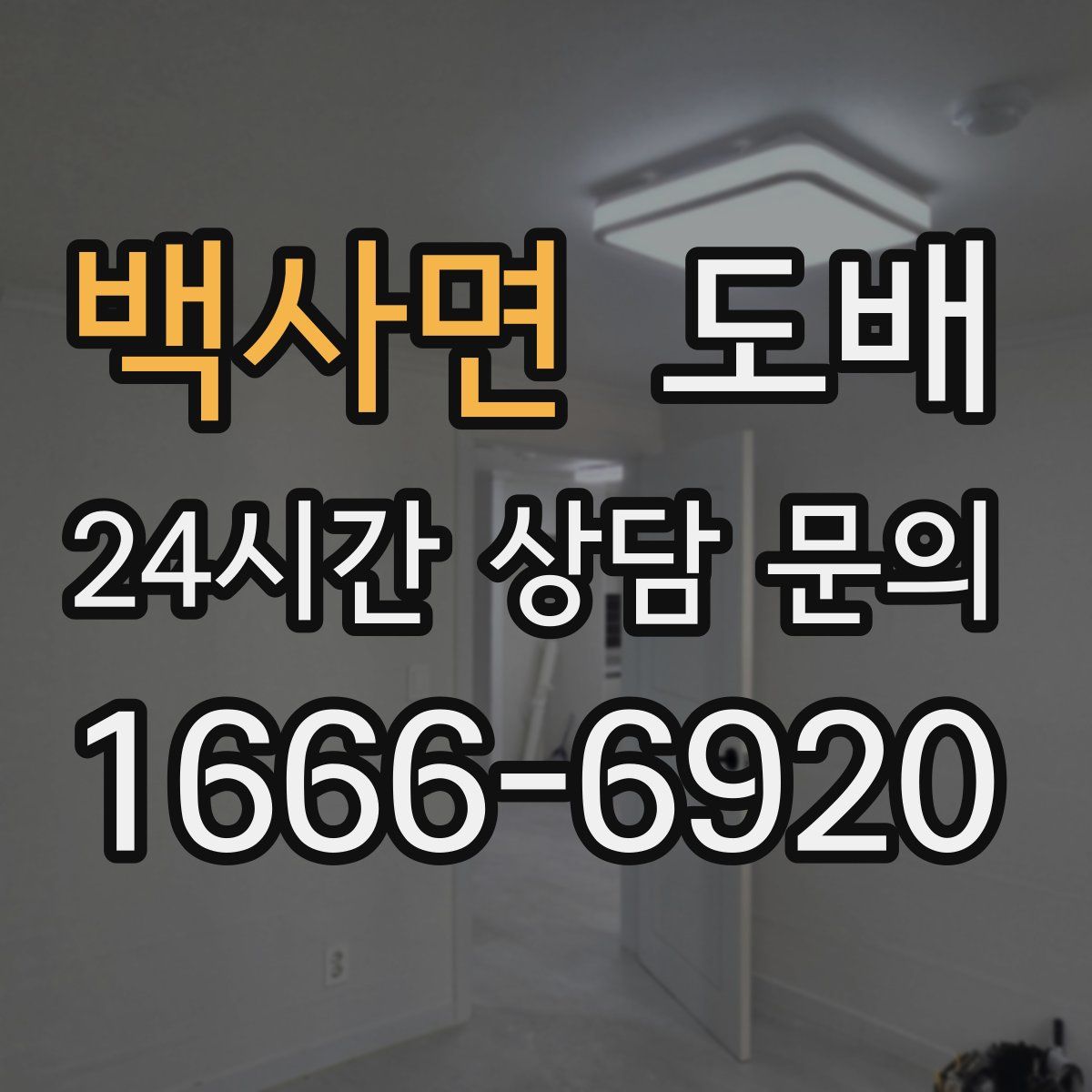 백사면 도배