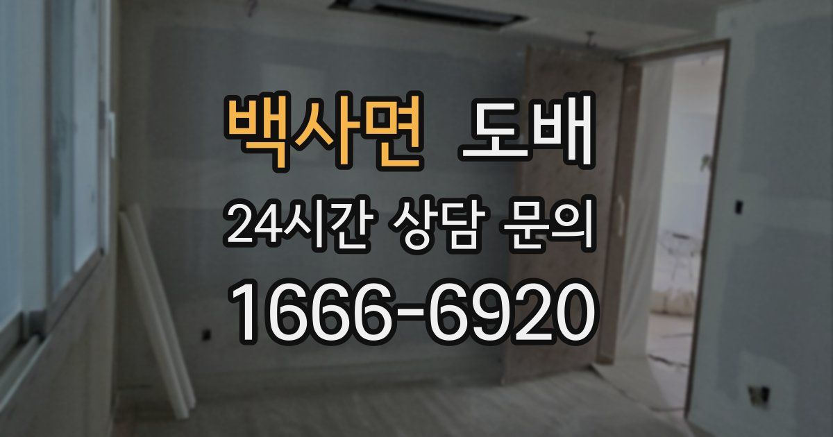 백사면 도배