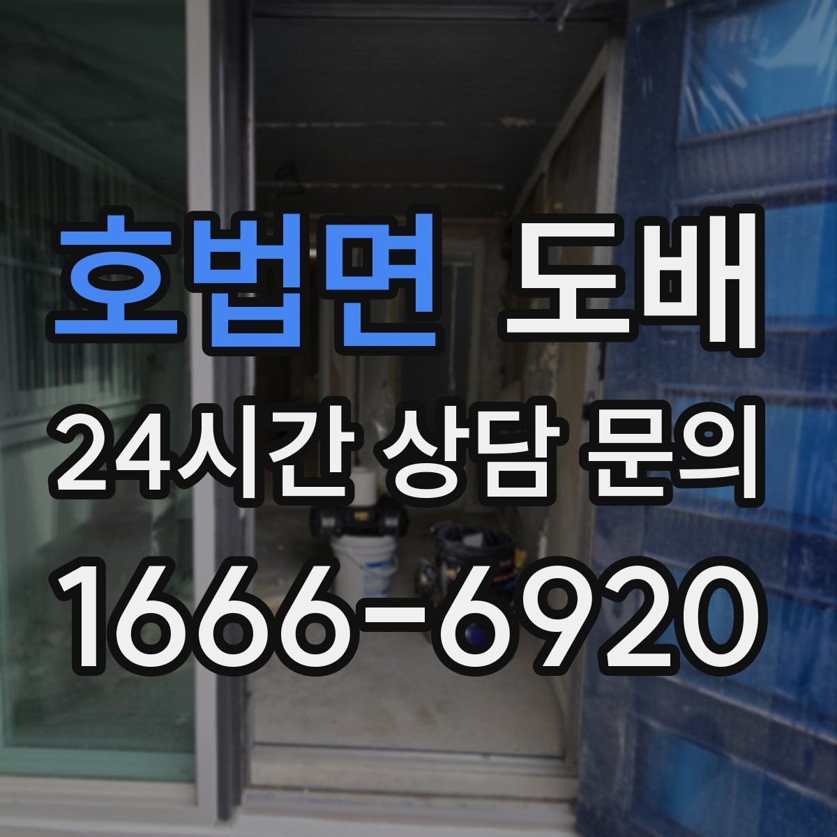 호법면 도배