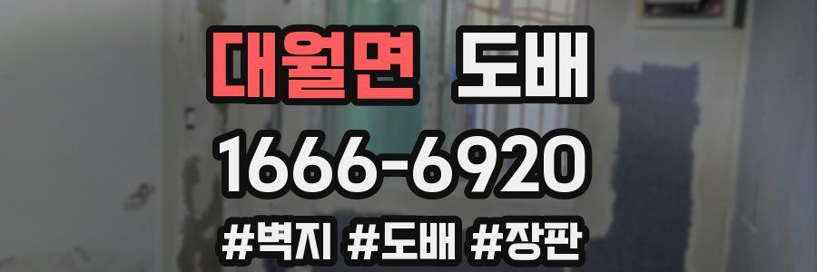 대월면 도배