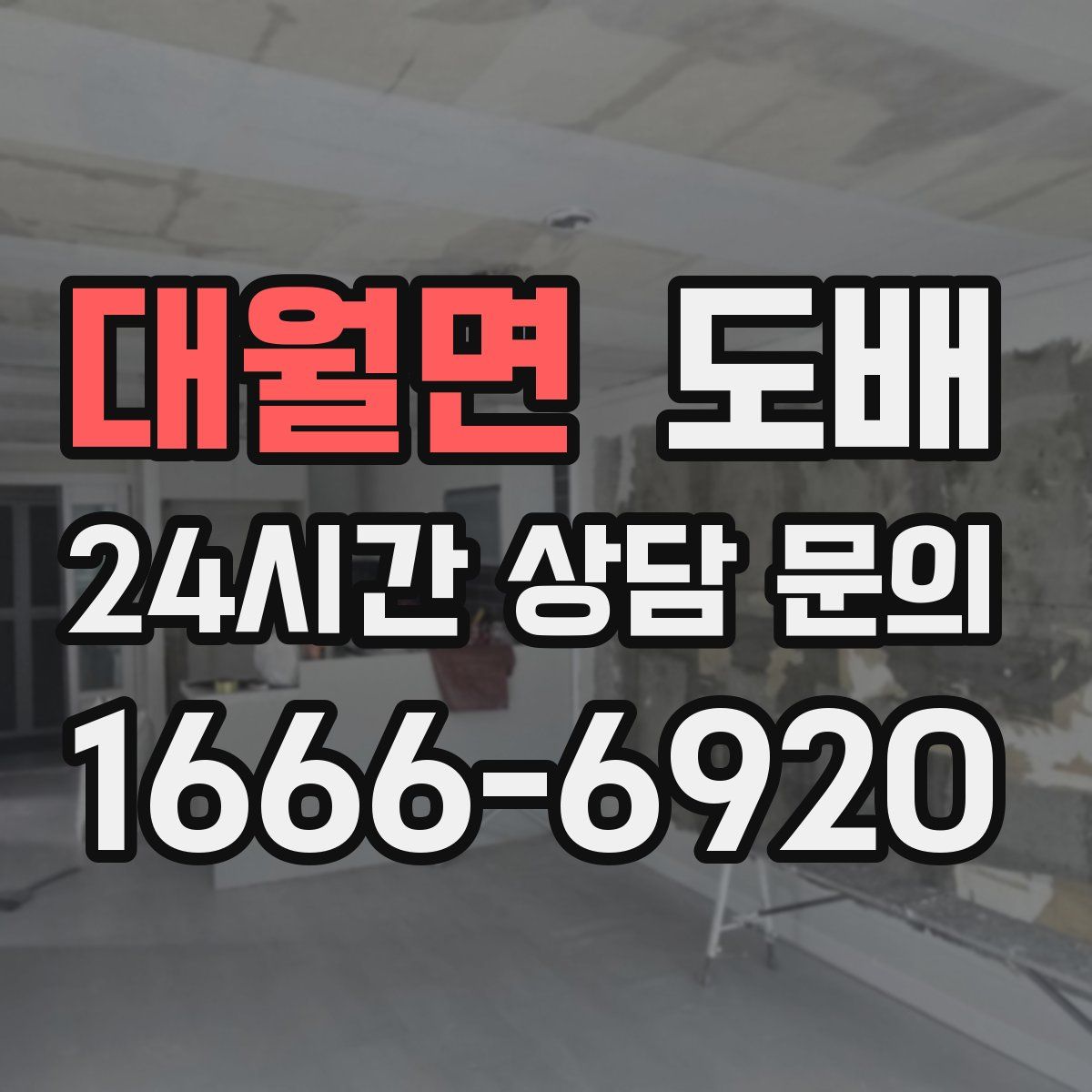 대월면 도배
