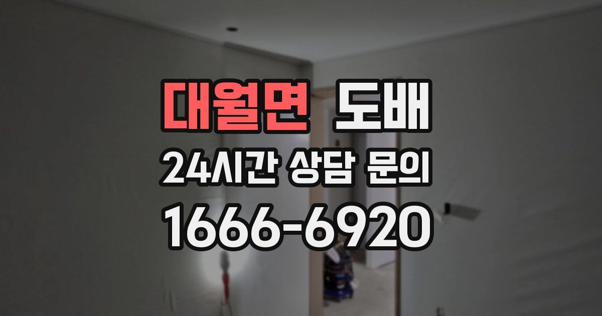 대월면 도배