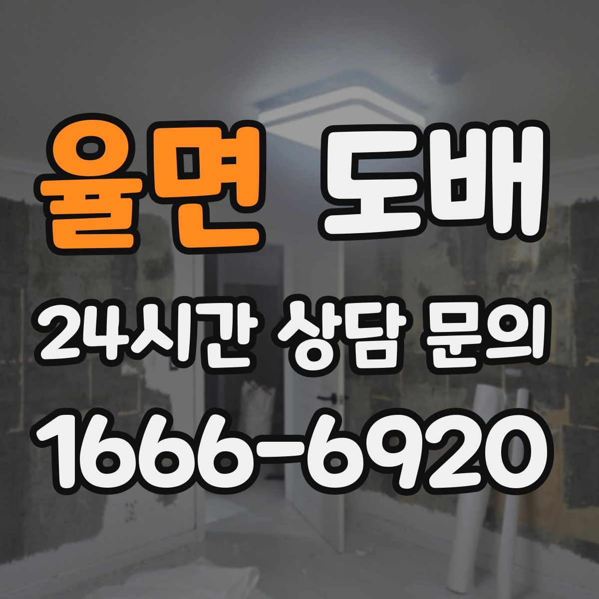율면 도배
