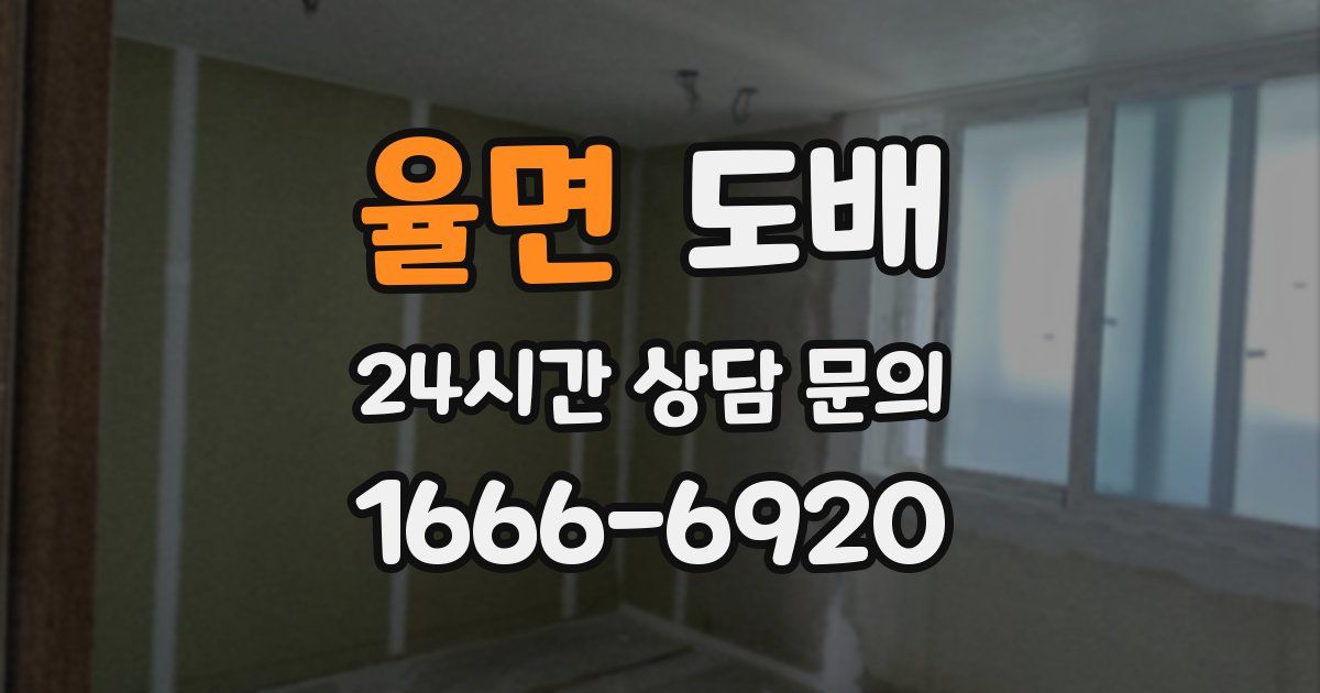 율면 도배