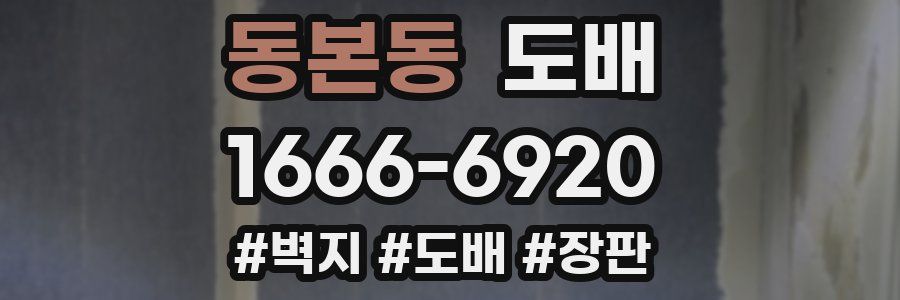 동본동 도배