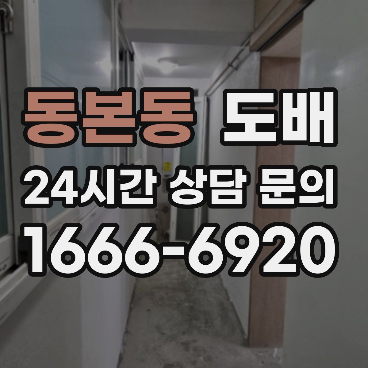 동본동 도배